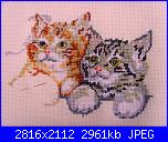 schema gattini-snv30341-jpg