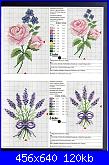 Cerco schema lavanda-lavanda-e-rose1_0002-jpg