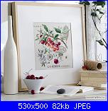 cerco schema-0_7abcc_ffcf9e9b_orig-jpg