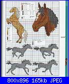 Cerco schemi cavalli più leggibili-75-jpg