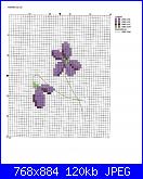 Informazioni schemi luli-violette-jpg