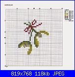 Informazioni schemi luli-393321-c57d4-102660898-u05b0b-jpg