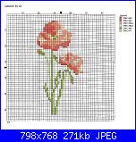 Informazioni schemi luli-papaveri-jpg