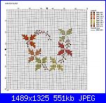 Informazioni schemi luli-354092-5a145-105308878-u0e1f4-jpg