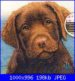 Cerco schema Dimensions "Hot Chocolate"-l-jpg