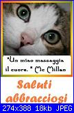set asilo bambino con Gatto Silvestro baby-saluti-jpg