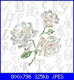 Vi risulta una rosa di De fil en aiuguille?-dfea-rose-abc-jpg