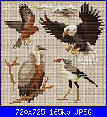 Schemino dell'aquila-174f72a7cf0ad2ac271bd270eb7b1992-jpg