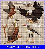 Schemino dell'aquila-rapaci-jpg