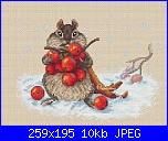 Cerco criceto-images-jpg