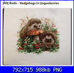Cerco RIOLIS Hedgehogs In Lingonberries-immagine-png