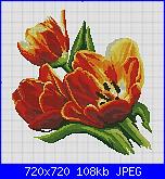 Cerco questo schema di tulipani-f784ce9078b6a6f2768b2df7bfc3dcfc-jpg