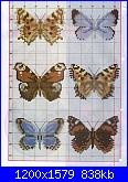 spero che questi vadano vede-farfalle1-%5B1600x1200%5D-jpg