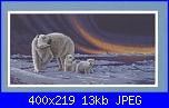 cerco schemi orso polare-ss13648-polar-bear-cubs-jpg