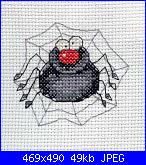 Ragno simpatico?-pauchok-jpg