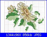 Girasole-sunflower_chart-jpg