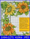 Girasole-girasoli-chart-1-jpg