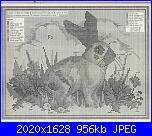 Cerco vecchi schemi Susanna-schema-coniglio-jpg