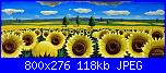 Quadro girasoli-girasoli-10-jpg