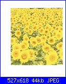 Quadro girasoli-ccf08062010_00000-jpg