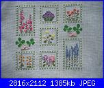 A tu per tu con le crocette - Floriana-dscn1694-jpg