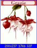 Nadiaama - Alcuni miei lavori-grazie_015-gif