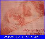 I nostri fiocchi nascita-fotocamera-124-jpg