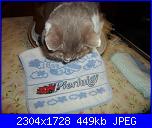 i lavori di nemo1964-sam_1608-copia-jpg