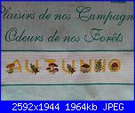 Natalizia - Qualche mio ricamo-img_20150503_152057-jpg