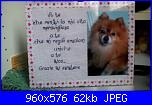 I ricami di Iridessa-12791008_1002851866458859_5803395338405849533_n-jpg