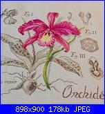 GIO74: I miei ricami-orchidea-dfa-2-jpg