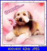 I miei lavori - Ary79-grazie12-jpg