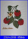 Qualche ricamino - Grimmy73-lamponi-jpg