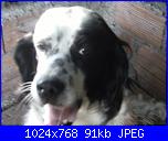 Anna47 - I miei lavori-015-jpg