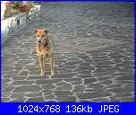 Anna47 - I miei lavori-021-jpg