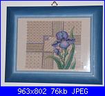 Aylaso - Lavori a punto croce-iris-incorniciat-111-jpg