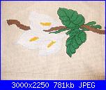 i baby ricami di Stef-dscf1810-jpg