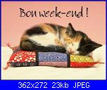 Sabato 5 Marzo 2011-41ormumn-jpg