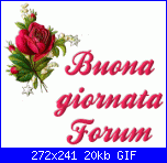 martedì 23 agosto-2z9l7wy-gif