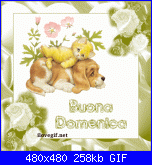 domenica 23 ottobre-01_buonadomenica-gif