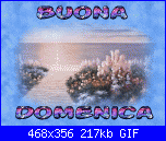 domenica 5 novembre-9189-gif