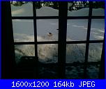 11 Febbraio 2012 -SABATO--090212-1444-002-jpg