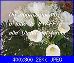 CompleannoTulipanoBianco-100_3852-jpg