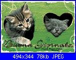 lunedì 26 novembre 2012-buona-giornata-gattini_ondina-jpg