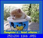 Lunedì 4 febbraio 2013-buon-giorno-jpg