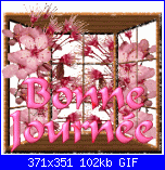 martedì 12 marzo 2013-xy2dudz8-gif