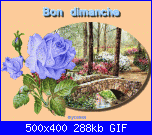 domenica 21 aprile 2013-by3q4hdg-gif