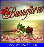 domemica 25 agosto 2013-1237117_575485419174956_94731880_n%5B1%5D-jpg