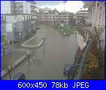 mercoledì 22 gennaio 2013-1528709_10203118034374810_1864681391_n-jpg