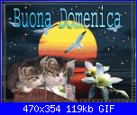 domenica 4 gennaio 2015-domenica_040-gif